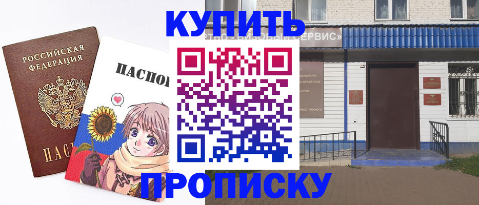 прописка в Алексине
